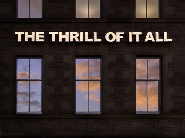 THE THRILL OF IT ALL 2010 154 low energy lamps, powder coated steel, power supply 40 x 616 cm